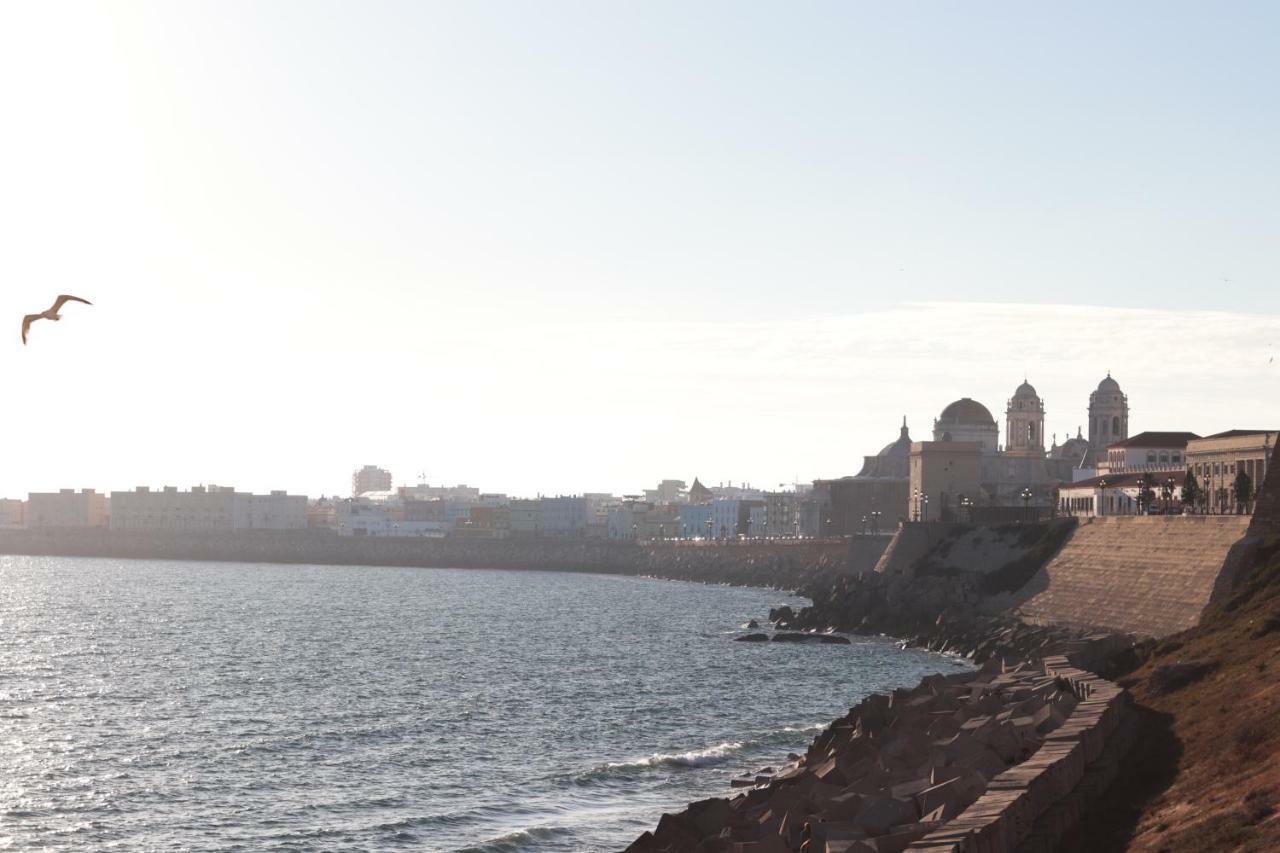 La Cebra Cádiz